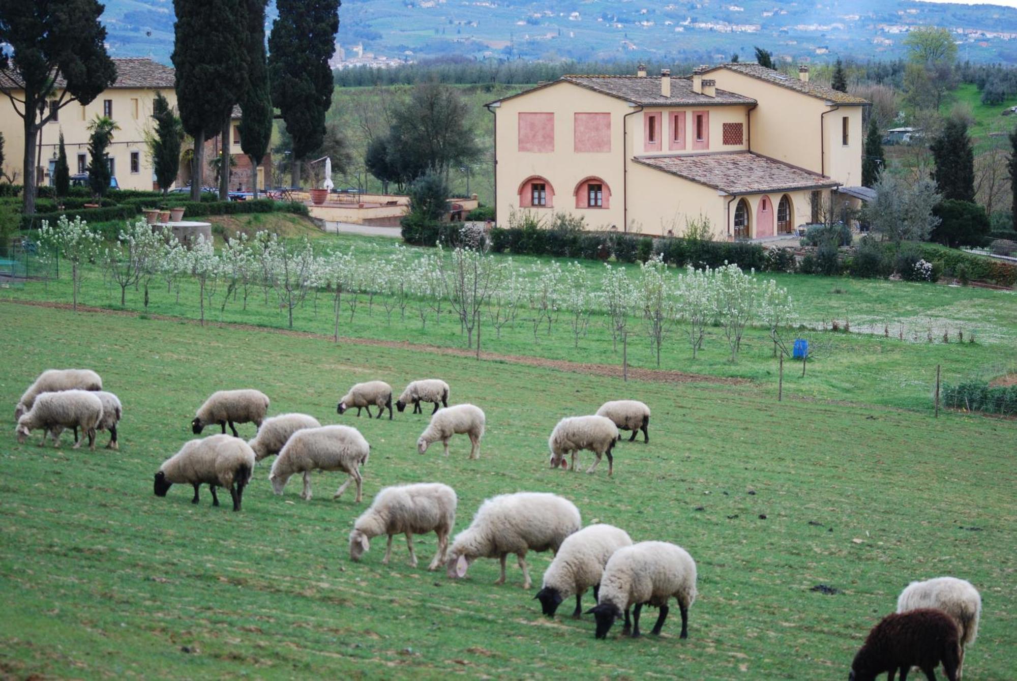 Agriturismo Fattoria Rozzalupi Cerreto Guidi Buitenkant foto