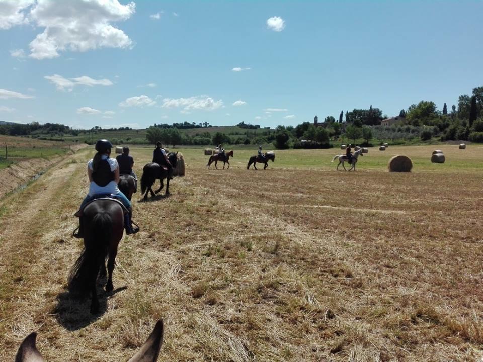 Agriturismo Fattoria Rozzalupi Cerreto Guidi Buitenkant foto